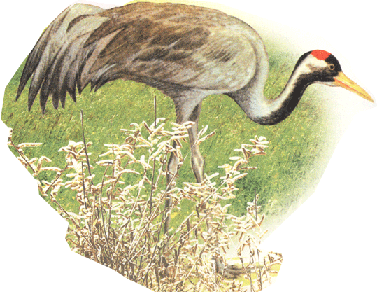 Журавль на почтовых марках