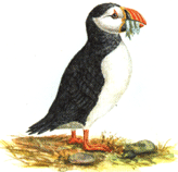 тупик на почтовых марках