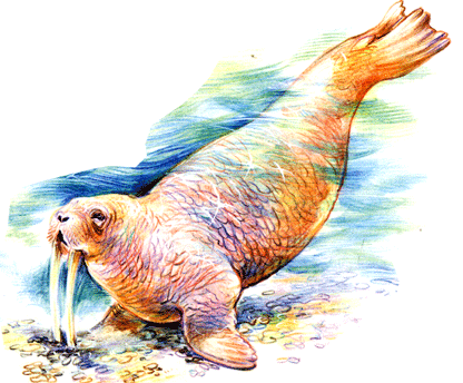 на почтовых марках морж