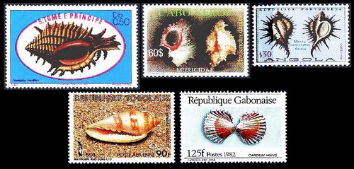 Филателия и морские раковины