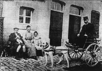 Бельгийская овчарка малинуа с почтовой тележкой