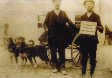 Почтовую тележку везут два бельгийских мастифа