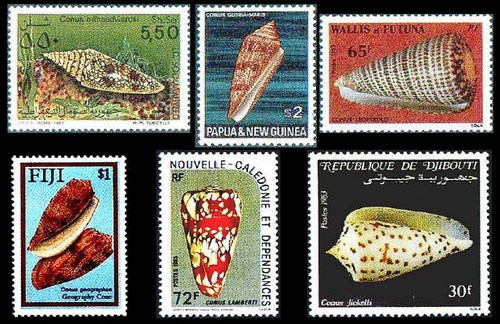 Морские раковины в филателии