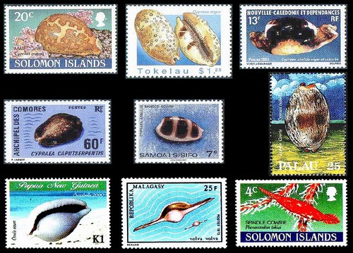 Раковина на почтовых марках