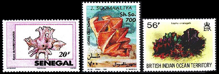 Раковины странной формы на почтовых марках