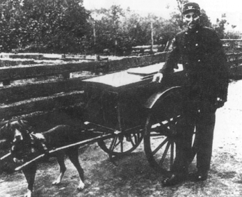 Голландия. Почтовая тележка