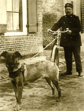 Почтальон из Харлингена