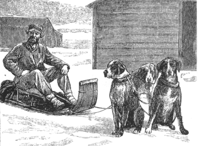 Почтовые сани с упряжкой из трёх собак