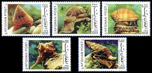 Филателия раковины