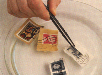 Отделение почтовых марок