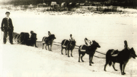 Канада. Провинция Квебек. Почтовые сани с упряжкой