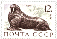 На марках морж. Марки СССР 1971 год