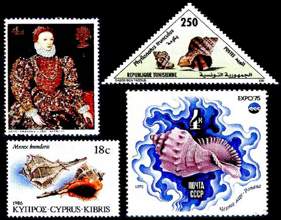Моллюски пинн, мурексы, рапаны, галиотисы в филателии