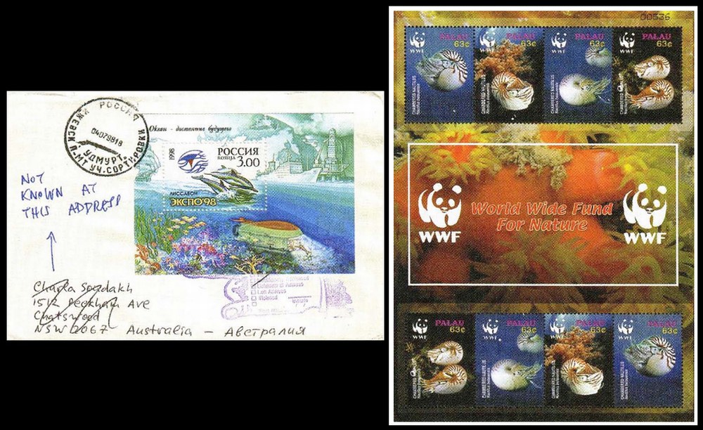 История морских раковин в филателии