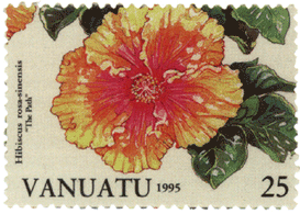 миниатюра из серии Гибискус