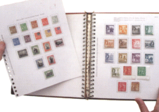 Вынимание страницы из альбома с кольцевым переплетом