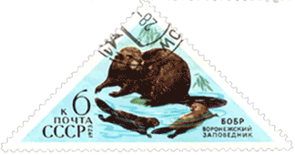 Бобр треугольная марка