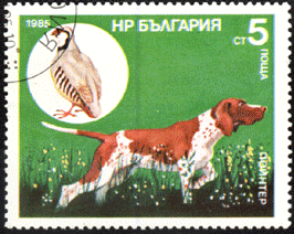 собаки филателия