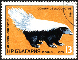 скунс на почтовой марке