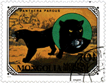 гепард филателия