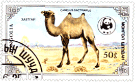 Верблюд на марке